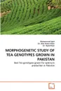 Morphogenetic Study of Tea Genotypes Grown in Pakistan - Muhammad Sajid, Sher Aslam Khan, Dr Ayub Khan