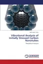 Vibrational Analysis of Initially Stressed Carbon Nanotubes - Selim Mahmoud