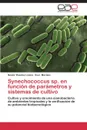 Synechococcus Sp. En Funcion de Parametros y Sistemas de Cultivo - Rosales Loaiza Nestor, Morales Ever