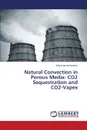 Natural Convection in Porous Media. Co2 Sequestration and Co2-Vapex - Javaheri Mohammad