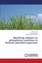 Mulching relation to phosphorus nutrition in Autumn planted sugarcane - Kumar Vinay, Kumar Mukesh, Kushwah Jitendra Kumar