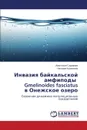 Invaziya baykal.skoy amfipody Gmelinoides fasciatus v Onezhskoe ozero - Sidorova Anastasiya, Kalinkina Nataliya