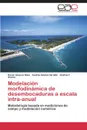 Modelacion morfodinamica de desembocaduras a escala intra-anual - Alvarez Silva Oscar, Gómez Giraldo Andrés, Osorio Andrés F.