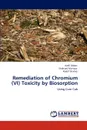 Remediation of Chromium (VI) Toxicity by Biosorption - Aadil Abbas, Shahzad Murtaza, Kashif Shahid