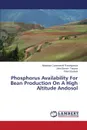 Phosphorus Availability For Bean Production On A High Altitude Andosol - Cyamweshi Rusanganwa Athanase, Tenywa John Steven, Ebanyat Peter