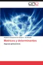 Matrices y Determinantes - Alejandro Ezequiel Garc a. Venturini, Axel Kicillof, Alejandro Ezequiel Garcia Venturini