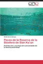 Peces de La Reserva de La Biosfera de Sian Ka.an - Garcia-Bedoya Daniel