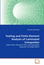 Testing and Finite Element Analysis of Laminated Composites - Jose Luis Curiel Sosa