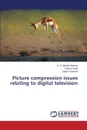 Picture compression issues relating to digital television - S.  Murthy Sharma N., Patel Charmi, Kulakarni Gopal