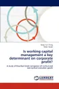 Is Working Capital Management a Key Determinant on Corporate Profit. - Hong Yuh Ching, F. Bio Gerab, Fabio Gerab