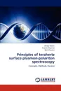 Principles of Terahertz Surface Plasmon-Polariton Spectroscopy - Nikitin Alexey, Kiryanov Anatolii, Knyazev Boris