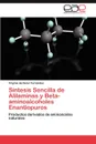 Sintesis Sencilla de Alilaminas y Beta-aminoalcoholes Enantiopuros - del Solar Fernández Virginia