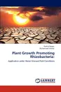 Plant Growth Promoting Rhizobacteria - Rashid Waqas, Muhammad Arshad