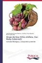 Orujo de Uva (Vitis vinifera. Var. Ruby Cabernet) - García Becerra Ledy Elizabeth, Rivas Morales Catalina, Castro Ríos Rocío