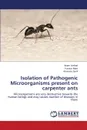 Isolation of Pathogenic Microorganisms present on carpenter ants - Arshad Anam, Malik Kausar, Jamil Ammara