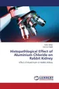 Histopathlogical Effect of Aluminium Chloride on Rabbit Kidney - Akhtar Sobia, SAJJAD SUMERA