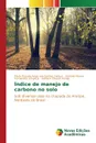 Indice de manejo de carbono no solo - Santos Paulo Ricardo Alves dos Santos, Simplício Antônio Alisson Fernandes, Araújo Adriana Oliveir