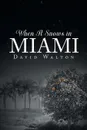 When It Snows In Miami - David Walton