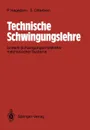 Technische Schwingungslehre. Lineare Schwingungen diskreter mechanische Systeme - Peter Hagedorn