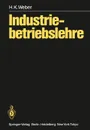 Industriebetriebslehre - H.K. Weber