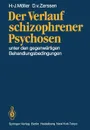 Der Verlauf schizophrener Psychosen. unter den gegenwartigen Behandlungsbedingungen - H.J. Möller, D.v. Zerssen