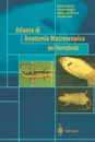 Atlante di Anatomia Macroscopica dei Vertebrati - E. Giavini, E. Menegola, M.L. Broccia