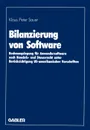 Bilanzierung von Software. Rechnungslegung fur Anwendersoftware nach Handels- und Steuerrecht unter Berucksichtigung US-amerikanischer Vorschriften - Klaus Peter Sauer