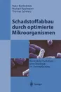 Schadstoffabbau durch optimierte Mikroorganismen. Gerichtete Evolution - Eine Strategie im Umweltschutz - Peter Bartholmes, Michael Kaufmann, Thomas Schwarz