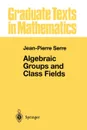 Algebraic Groups and Class Fields - Jean-Pierre Serre