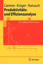 Produktivitats- und Effizienzanalyse. Der nichtparametrische Ansatz - Uwe Cantner, Jens Krüger, Horst Hanusch