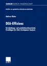 DEA-Effizienz. Entscheidungs- und produktionstheoretische Grundlagen der Data Envelopment Analysis - Andreas Kleine