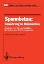 Spannbeton. Bewahrung im Bruckenbau : Analyse von Bauwerksdaten, Schaden und Erhaltungskosten - Gert König, Reinhard Maurer, Tilman Zichner