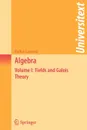 Algebra. Volume I: Fields and Galois Theory - Falko Lorenz, Silvio Levy