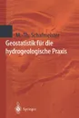 Geostatistik fur die hydrogeologische Praxis - Maria-Theresia Schafmeister