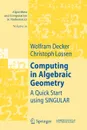 Computing in Algebraic Geometry. A Quick Start using SINGULAR - Wolfram Decker, Christoph Lossen