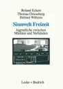 Sinnwelt Freizeit. Jugendliche zwischen Markten und Verbanden - Roland Eckert, Thomas Drieseberg, Helmut Willems