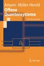 Offene Quantensysteme. Die Primas Lectures - Anton Amann, Ulrich Müller-Herold