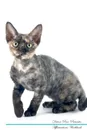 Devon Rex Affirmations Workbook Devon Rex Presents. Positive and Loving Affirmations Workbook. Includes: Mentoring Questions, Guidance, Supporting You. - Live Positivity