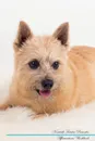 Norwich Terrier Affirmations Workbook Norwich Terrier Presents. Positive and Loving Affirmations Workbook. Includes: Mentoring Questions, Guidance, Supporting You. - Live Positivity