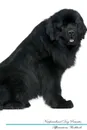 Newfoundland Dog Affirmations Workbook Newfoundland Dog Presents. Positive and Loving Affirmations Workbook. Includes: Mentoring Questions, Guidance, Supporting You. - Live Positivity