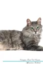 Norwegian Forest Cat Affirmations Workbook Norwegian Forest Cat Presents. Positive and Loving Affirmations Workbook. Includes: Mentoring Questions, Guidance, Supporting You. - Live Positivity