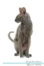 Cornish Rex Affirmations Workbook Cornish Rex Presents. Positive and Loving Affirmations Workbook. Includes: Mentoring Questions, Guidance, Supporting You. - Live Positivity