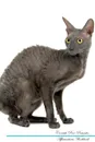Cornish Rex Affirmations Workbook Cornish Rex Presents. Positive and Loving Affirmations Workbook. Includes: Mentoring Questions, Guidance, Supporting You. - Live Positivity