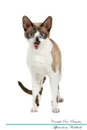 Cornish Rex Affirmations Workbook Cornish Rex Presents. Positive and Loving Affirmations Workbook. Includes: Mentoring Questions, Guidance, Supporting You. - Live Positivity
