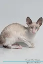 Cornish Rex Affirmations Workbook Cornish Rex Presents. Positive and Loving Affirmations Workbook. Includes: Mentoring Questions, Guidance, Supporting You. - Live Positivity
