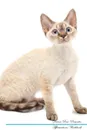 Devon Rex Affirmations Workbook Devon Rex Presents. Positive and Loving Affirmations Workbook. Includes: Mentoring Questions, Guidance, Supporting You. - Live Positivity