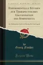 Experimentelle Studien zur Therapeutischen Galvanisation des Sympathicus. Der Medicinischen Facultat zu Munchen Pro Venia Legendi (Classic Reprint) - Georg Fischer