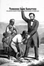 Tennessee Slave Narratives. A Folk History of Slavery in the United States From Interviews with Former Slaves - Works Progress Administration