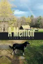 A Memoir - Peter Baldwin