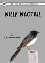 Willy Wagtail - C.K. Thompson